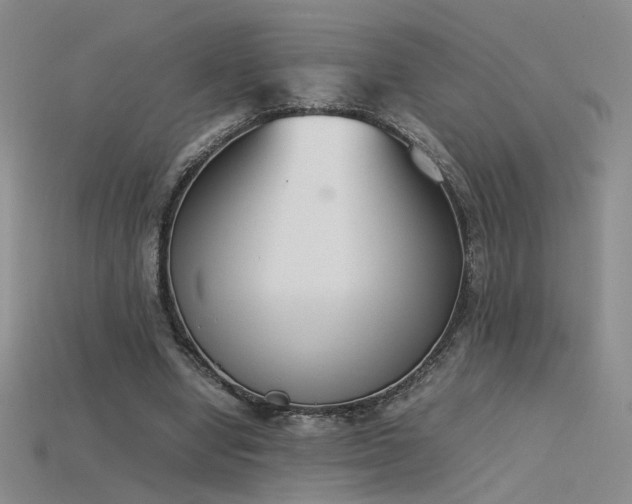 X0000115780442200911131251