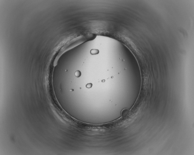 X0000115780443200911131251