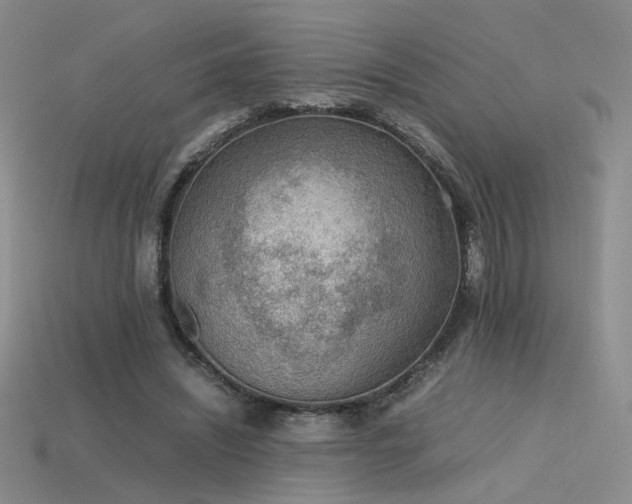 X0000115780444200911131251