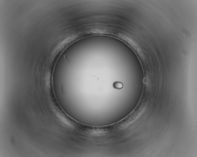 X0000115780445200911131251