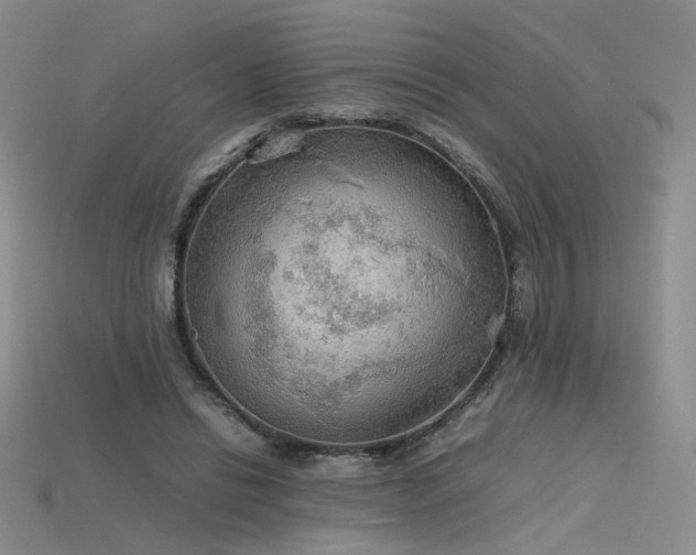 X0000115780446200911131251