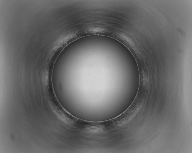 X0000115780447200911131251