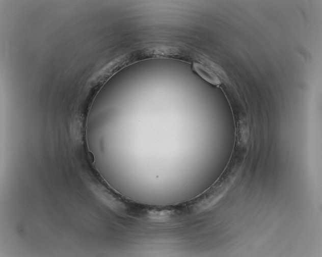 X0000115780450200911131251
