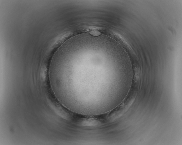 X0000115780451200911131251