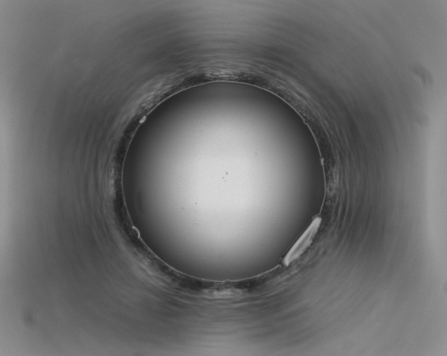 X0000115780452200911131251