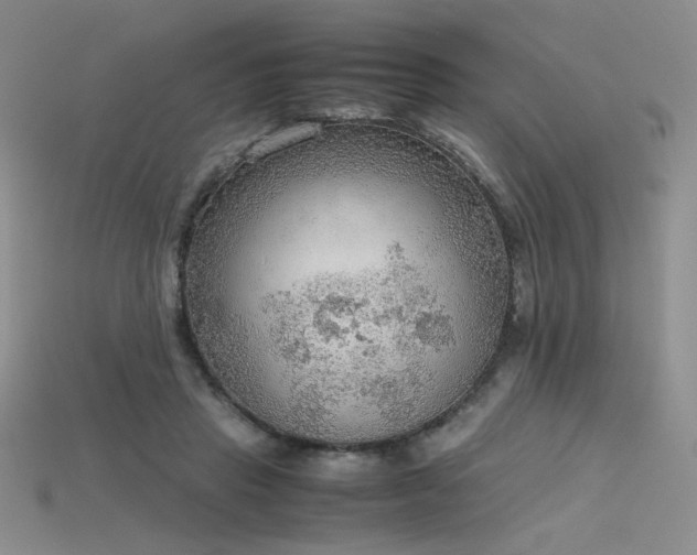 X0000115780453200911131251