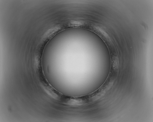 X0000115780455200911131251