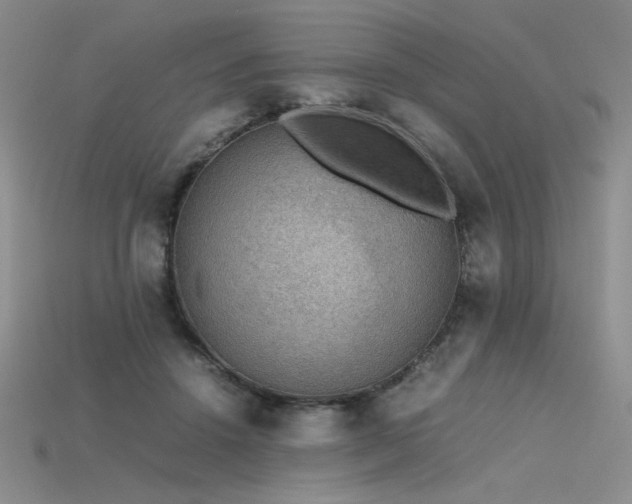 X0000115780456200911131251