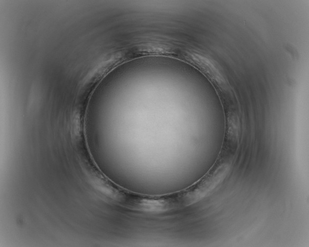 X0000115780457200911131251