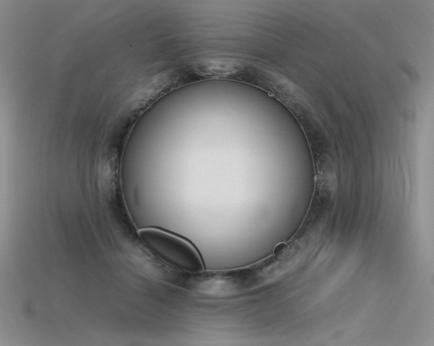 X0000115780460200911131251