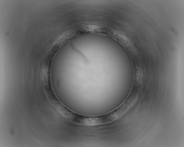 X0000115780461200911131251
