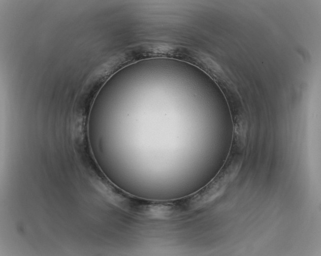 X0000115780462200911131251