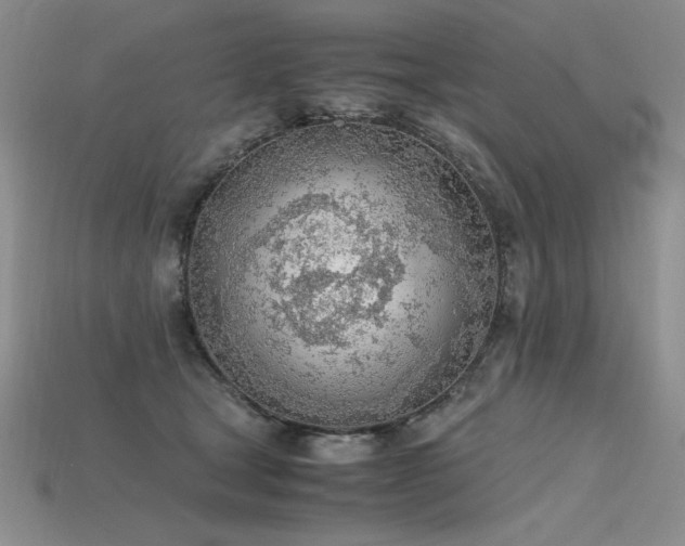 X0000115780465200911131251