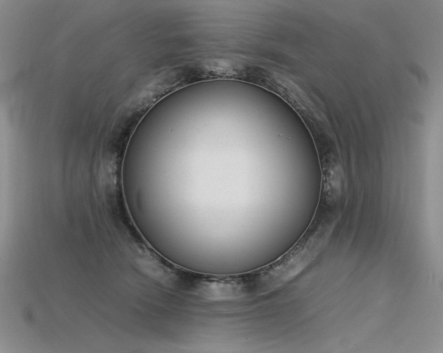 X0000115780466200911131251