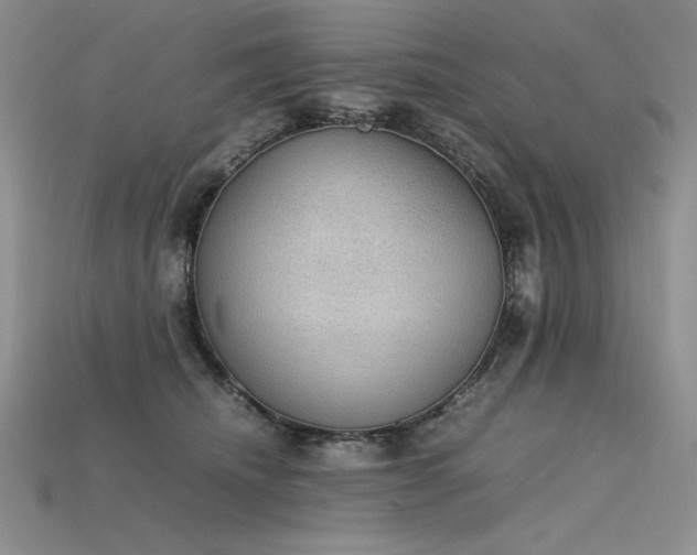X0000115780468200911131251