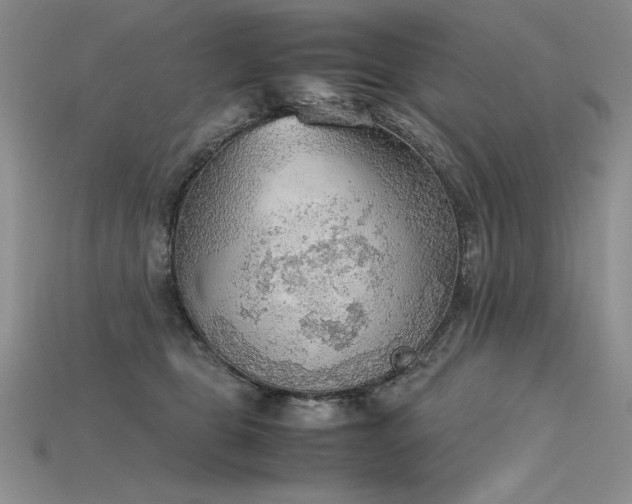X0000115780469200911131251