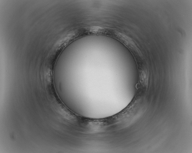 X0000115780470200911131251