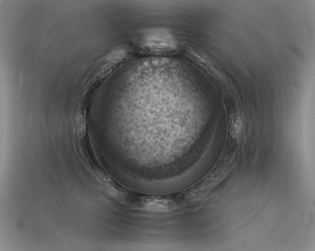 X0000115780471200911131251