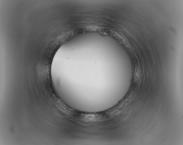 X0000115780473200911131251