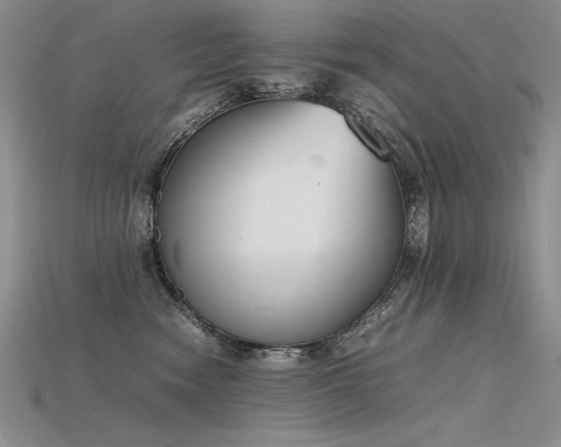 X0000115780474200911131251