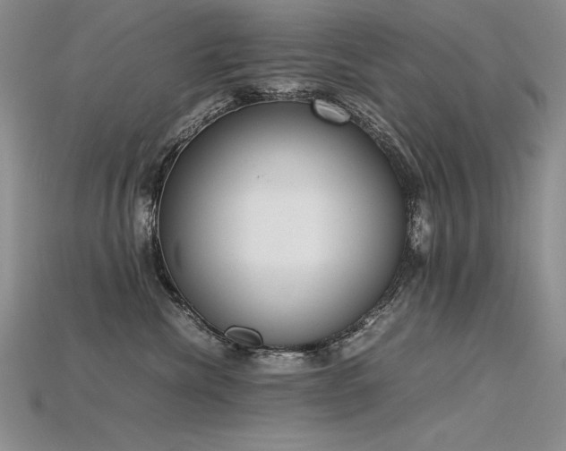 X0000115780476200911131251