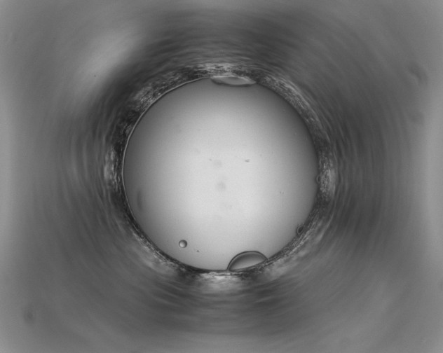 X0000115780477200911131251