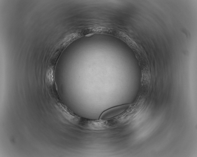 X0000115780479200911131251