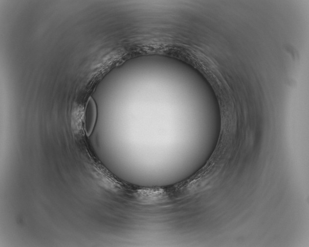 X0000115780480200911131251