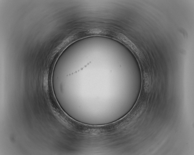 X0000115780482200911131250