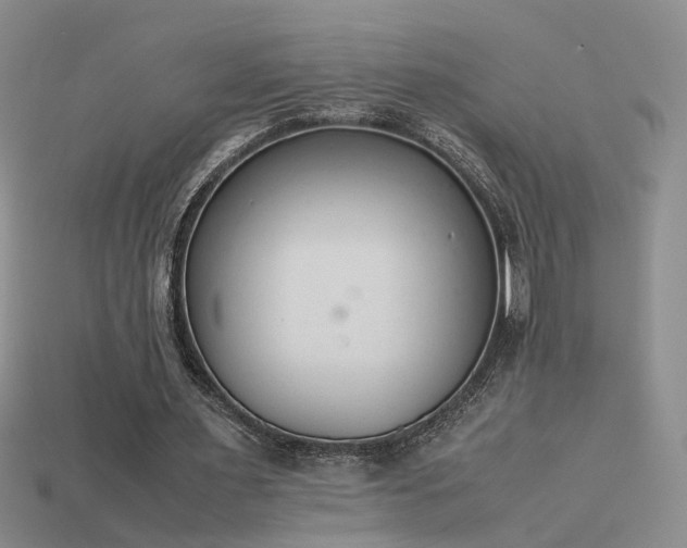 X0000115780483200911131250
