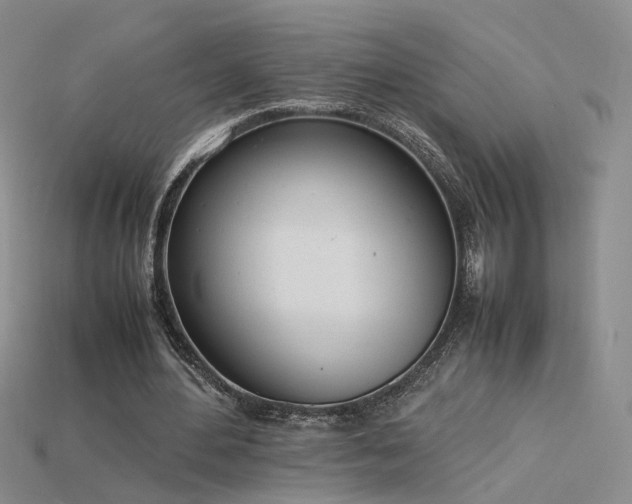 X0000115780484200911131250
