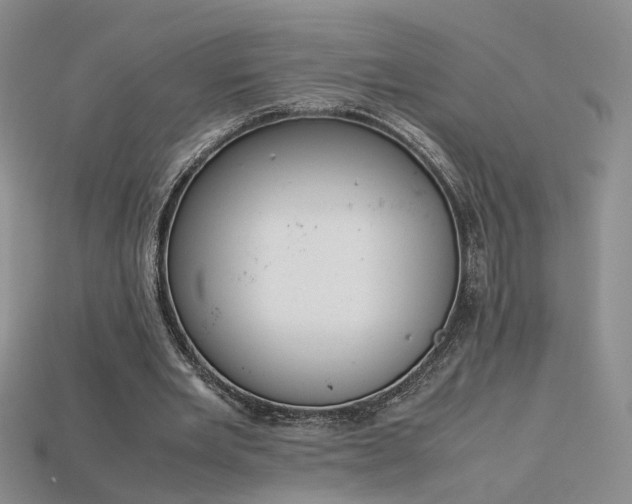 X0000115780485200911131250