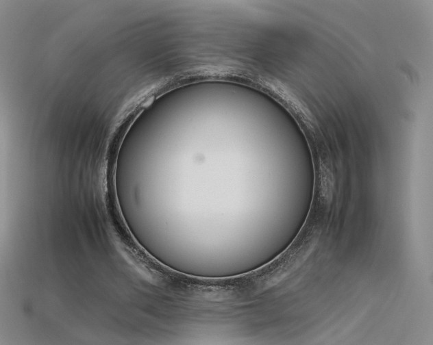 X0000115780486200911131250