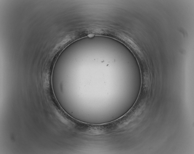 X0000115780489200911131250