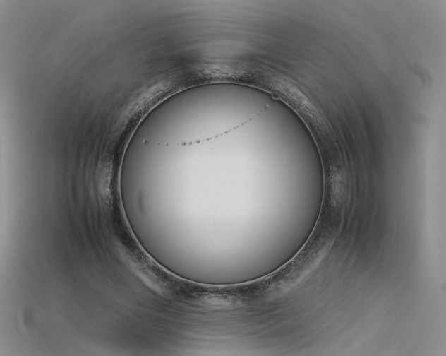 X0000115780490200911131250