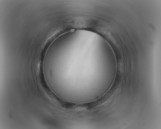 X0000115780491200911131250
