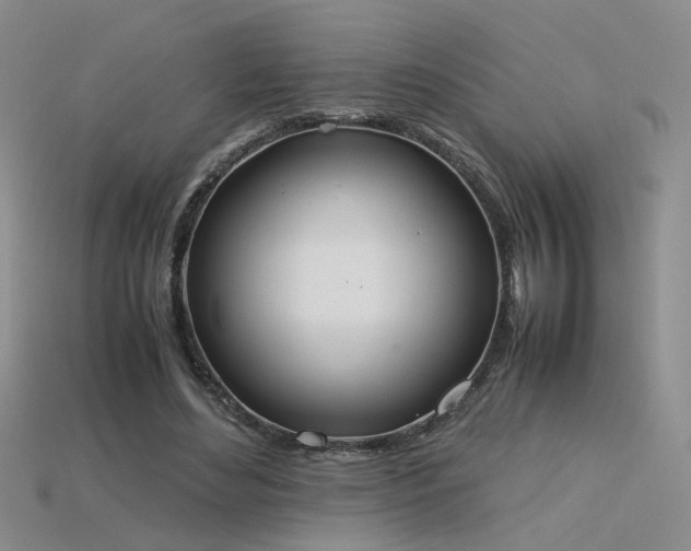 X0000115780492200911131250