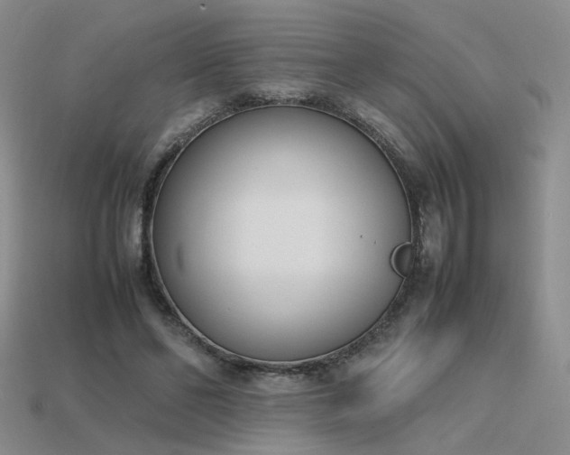 X0000115780494200911131250