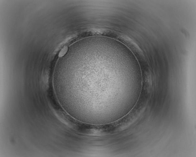 X0000115780496200911131250