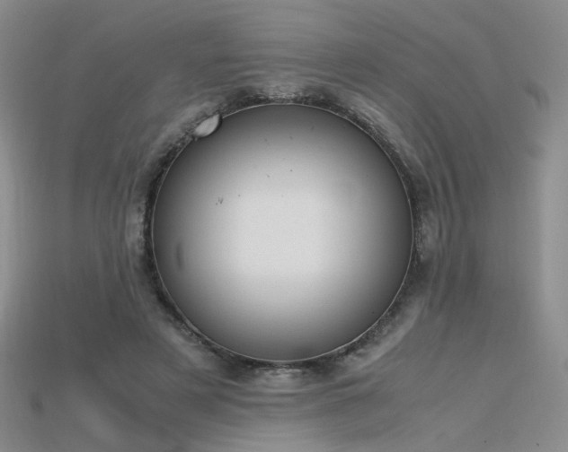 X0000115780497200911131250