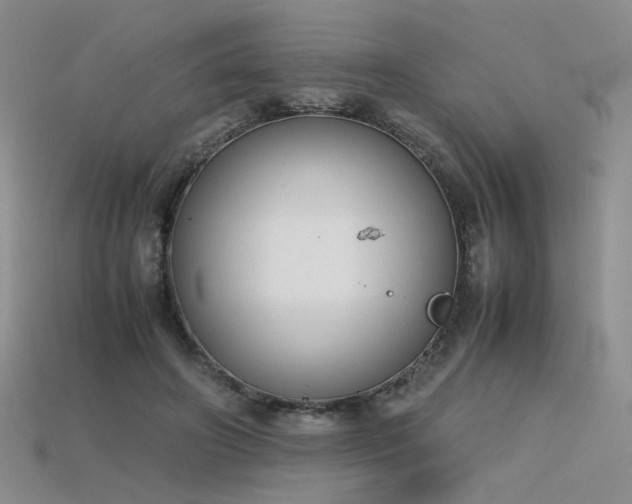 X0000115780498200911131250