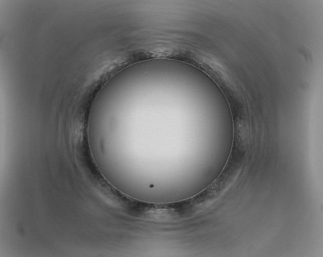 X0000115780499200911131250