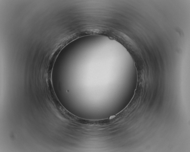 X0000115780500200911131250
