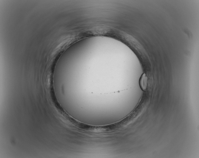 X0000115780501200911131250