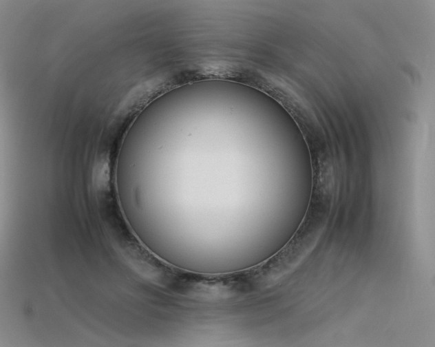 X0000115780502200911131250
