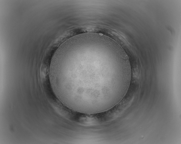 X0000115780503200911131250