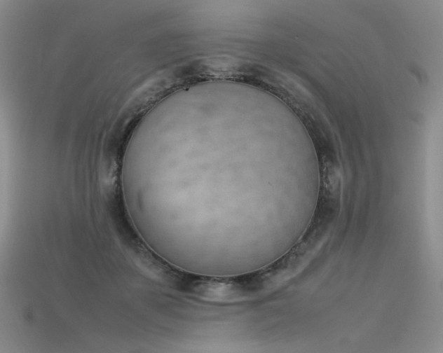 X0000115780507200911131250