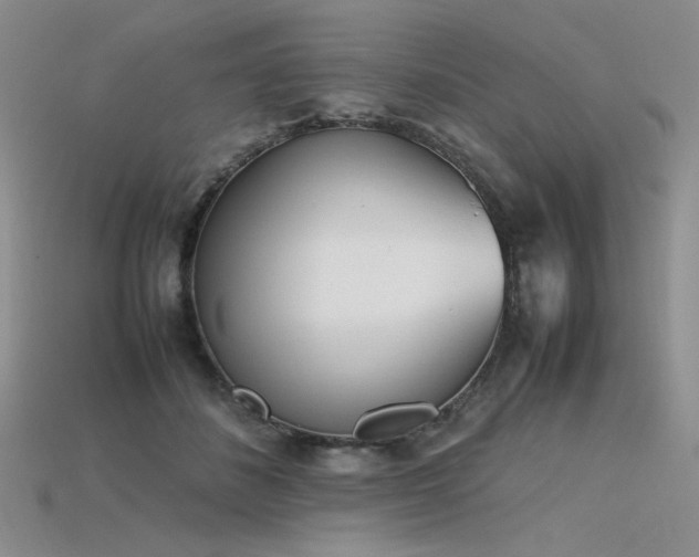 X0000115780508200911131250
