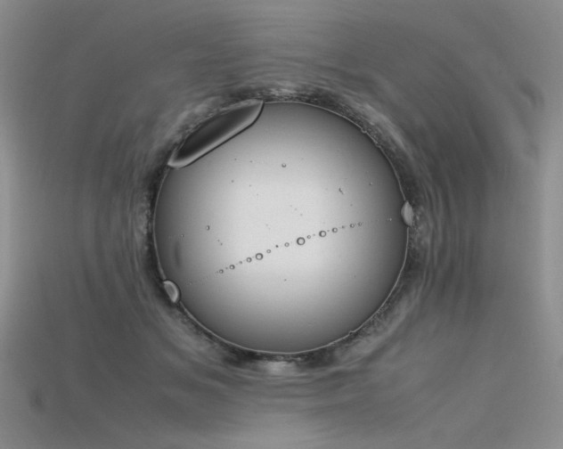 X0000115780509200911131250