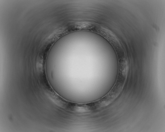 X0000115780510200911131250